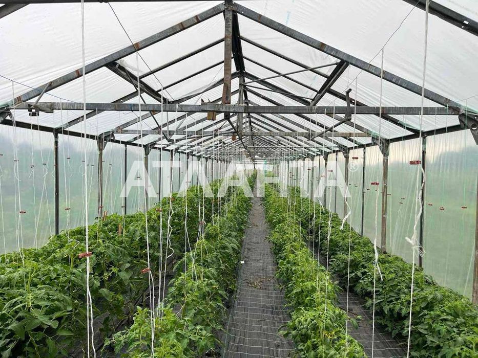 Продаж готового бізнесу з садівництвом м. Жовква