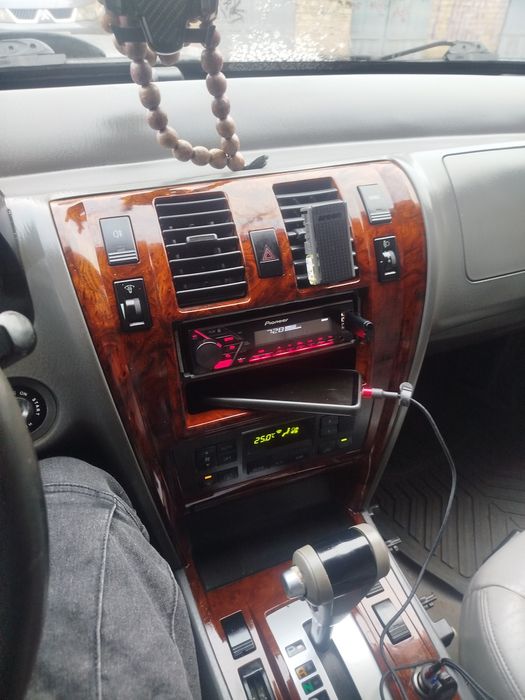 Таракан для бездоріжжя