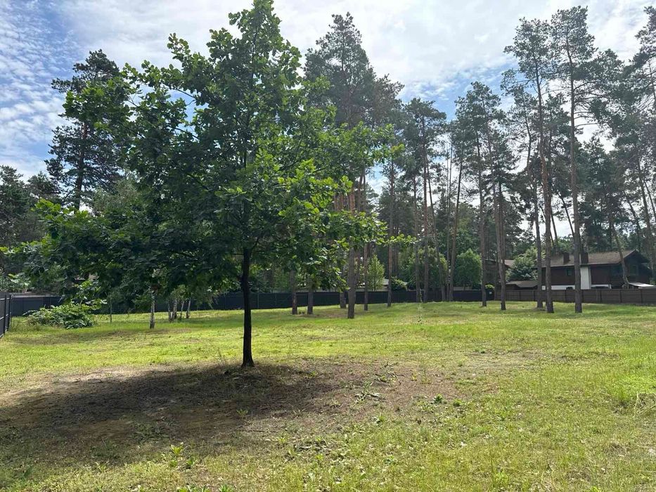 Продаж земельної ділянки с. Романків.