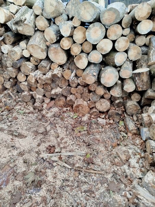 Drewno opałowe sosnowe