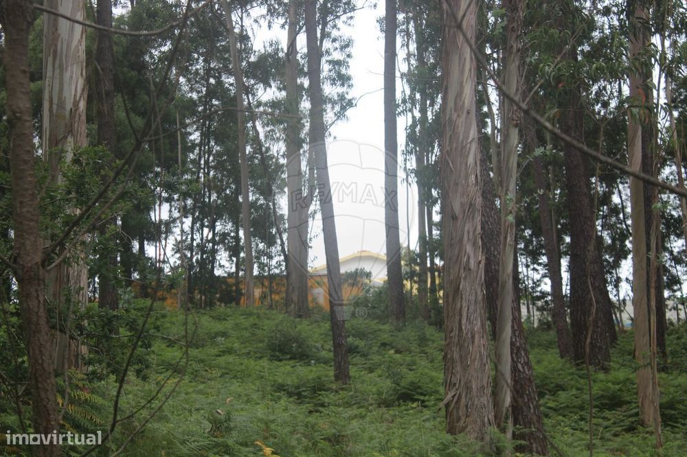 Terreno  para venda — Anta E Guetim, Aveiro