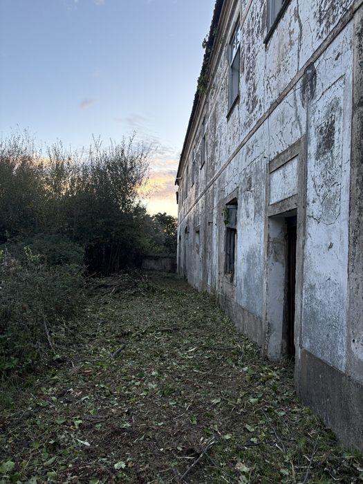 Limpezas de terrenos