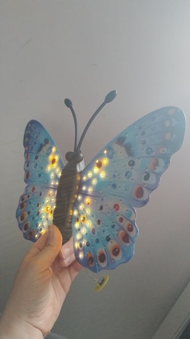 Motyl z pękniętym skrzydłem