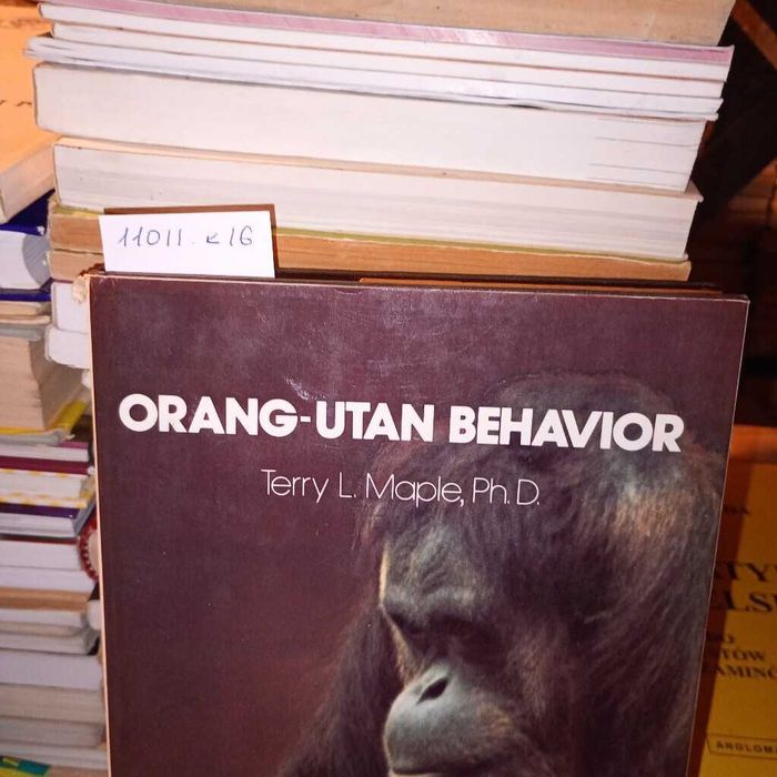 Orang-utan Behavior. Terry L. Maple, Ph.D.