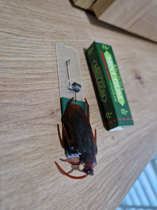 Surpresa assustadora de baratas.