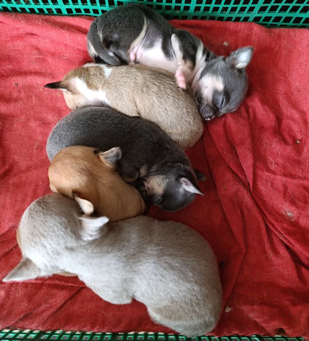 Можна придивитись до наших малюків