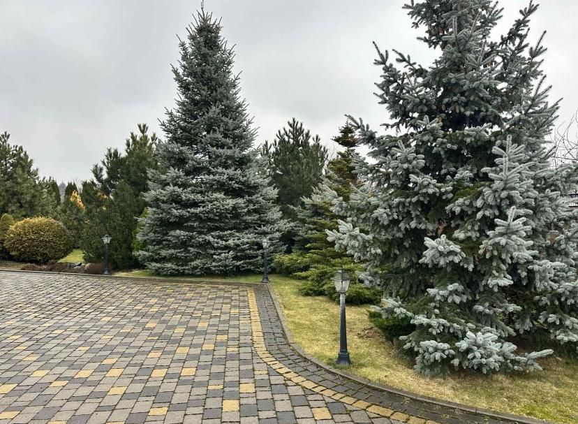 Будинок з ремонтом с. Зашків