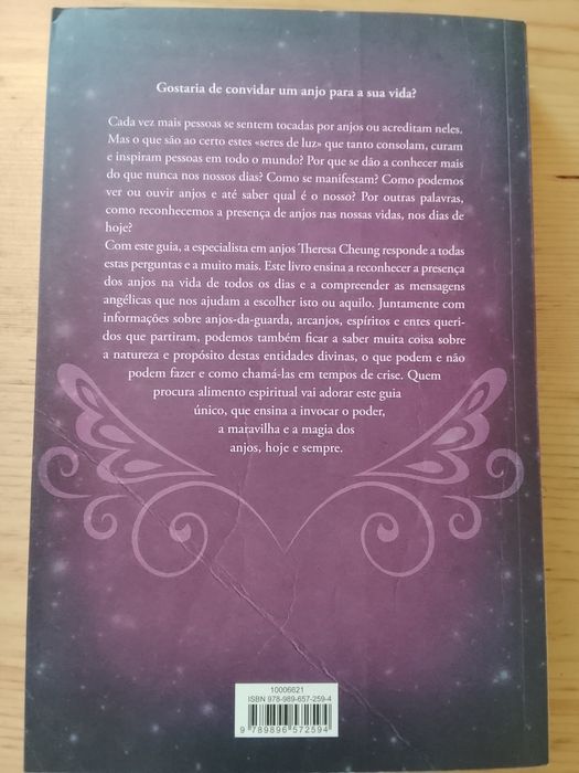 Livro como ver,ouvir,sentir nossos anjos