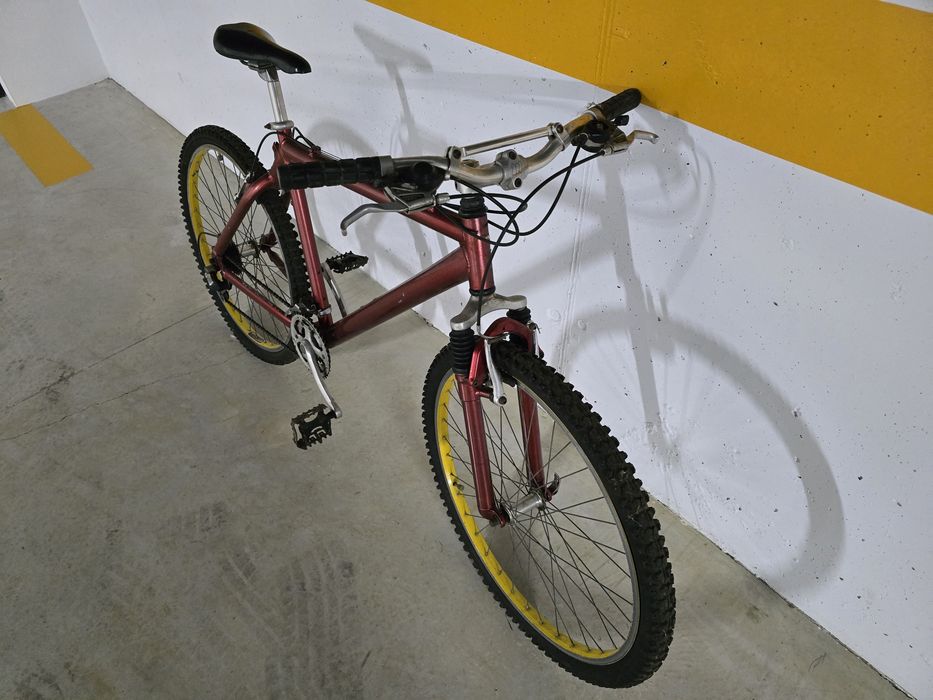 Bicicleta de montanha