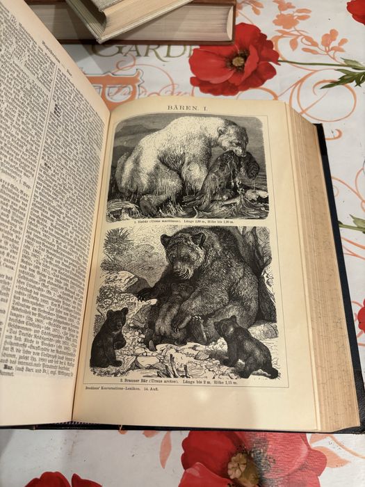 Старые немецкие книги 1894 год