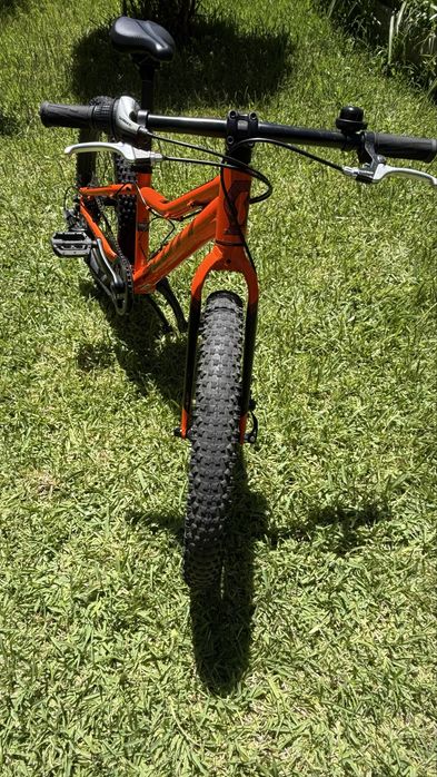 Scott Roxter 20”