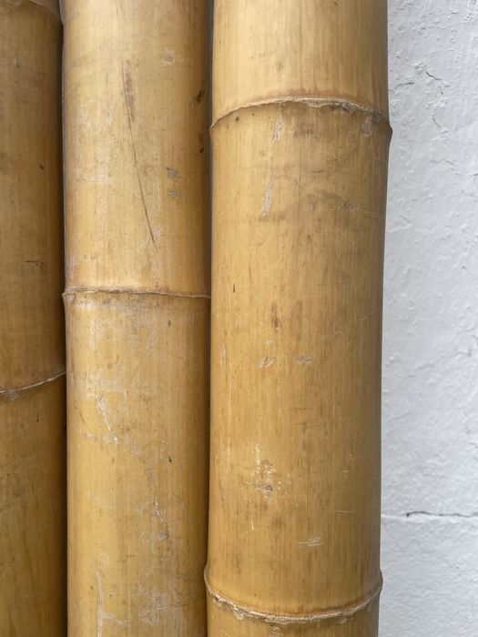 Bambu 2,5m por 10/12 cm