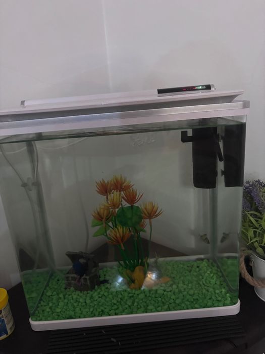 Aquário completo