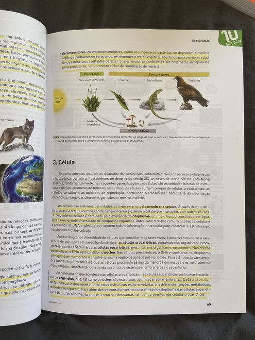 Preparação para o Exame Final Nacional de Biologia e Geologia