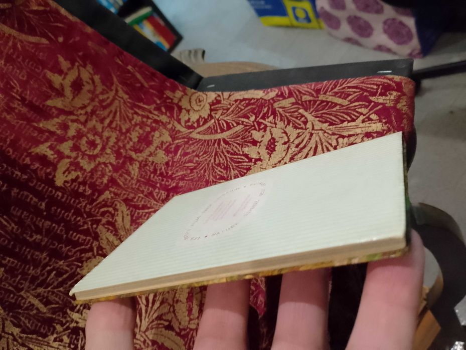 Les Fossiles - Hans Werner Rothe