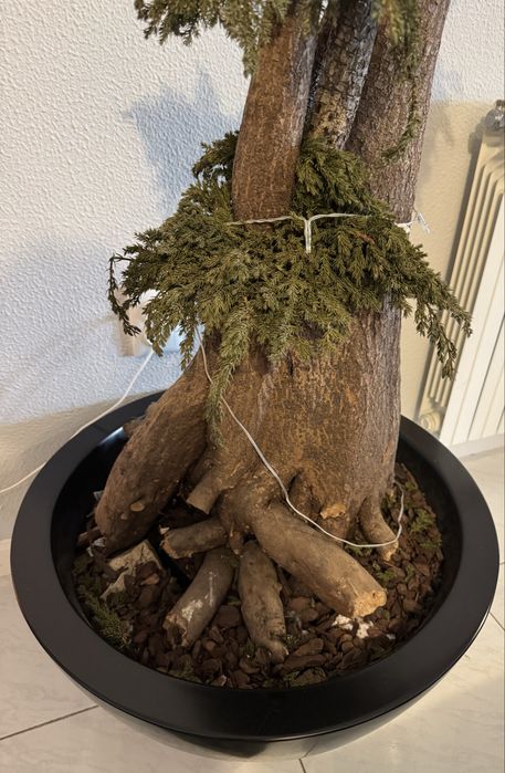 Arvore Bonsai decorativo ( artificial)