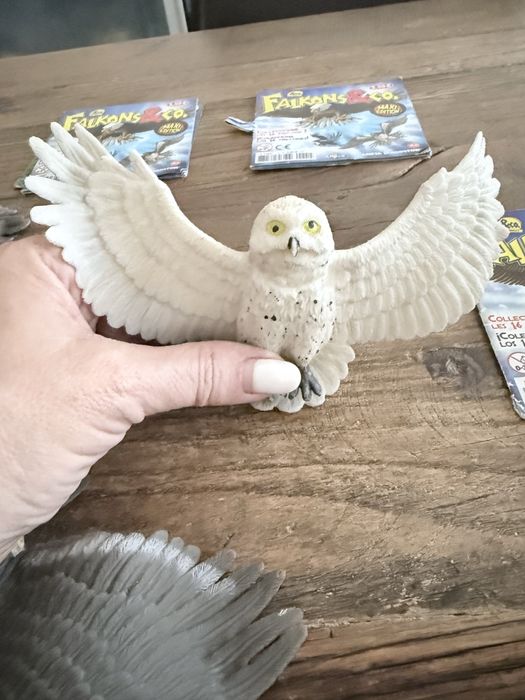 15 animais da Falcons, Bats, Sharks & Co