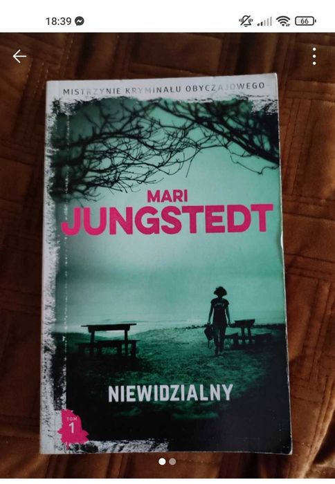 Mari Jungsted Niewidzialny