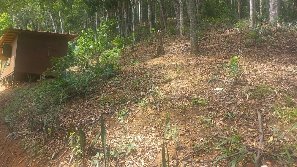 Vende-se terreno 1,240 metros quadrados. Entre a Serra e o mar!!