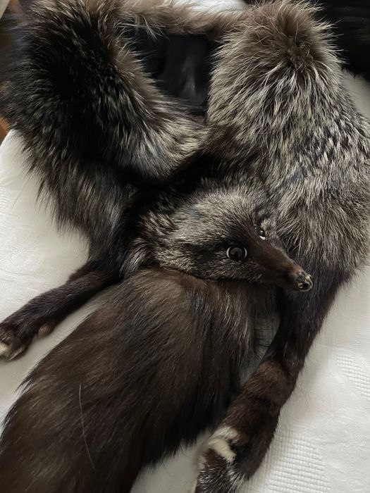 Futro, mufka, 2 kołnierze ze srebrnego lisa. Niespotykane.