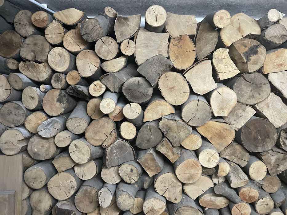 Drewno kominkowe suche