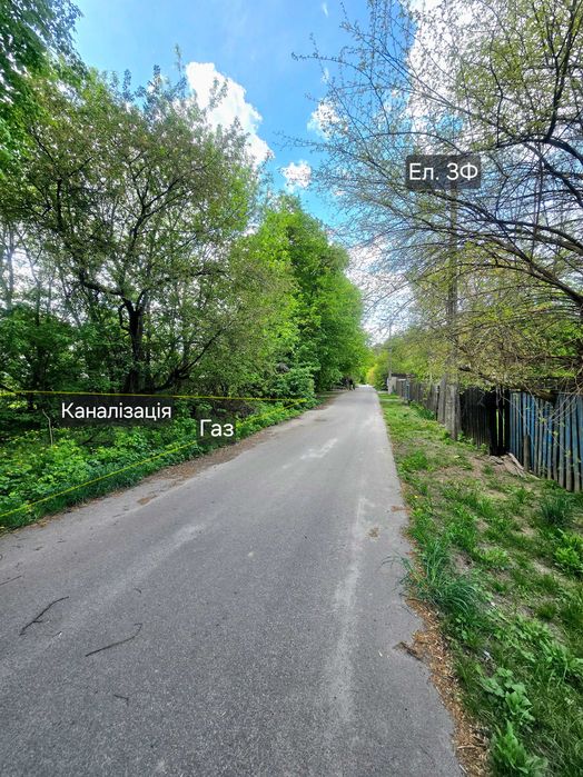 Фото ділянки