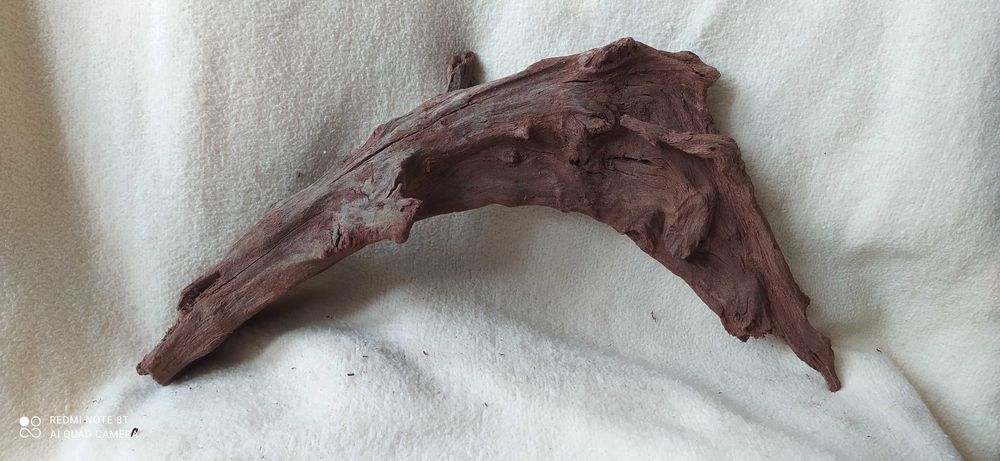 Korzeń 5 drift-36cm