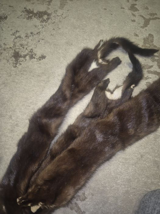 Продам мех чернобурка новый