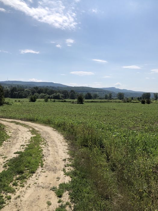 Продам земельну ділянку