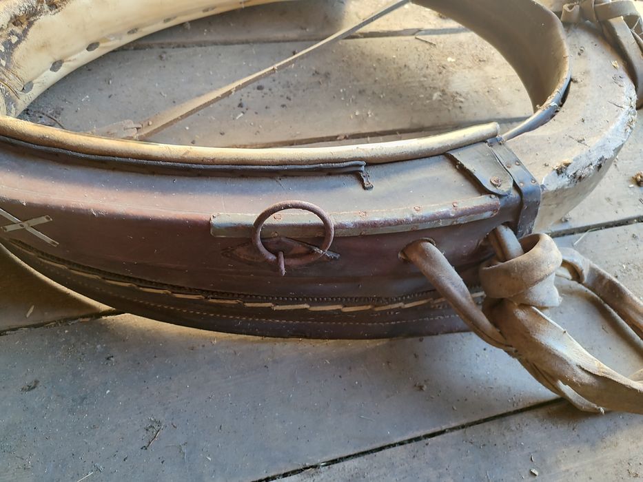 Sprzedam stare chomąto dla konia, homonto Stary Szor • OLX.pl