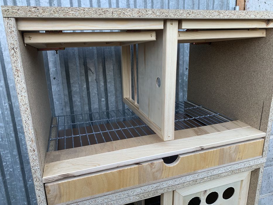 Cela motywacyjna legowa dla gołębi