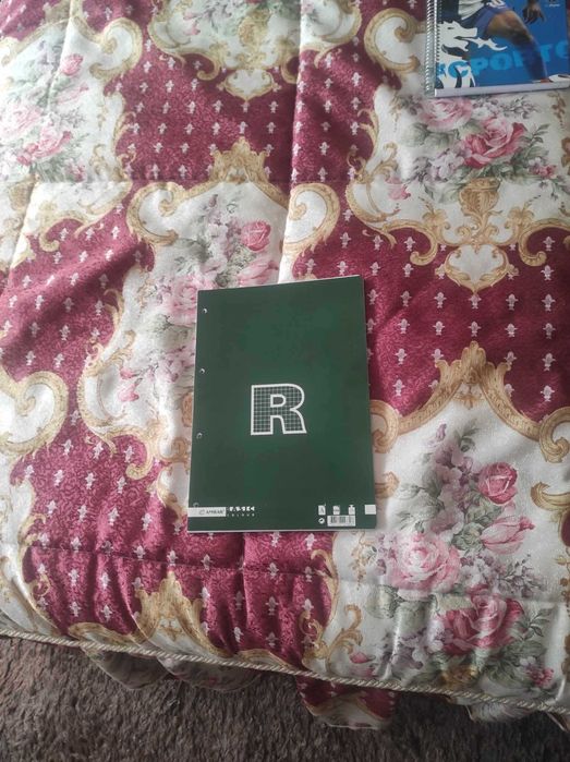 Calculadora Casio fx-9860G SD