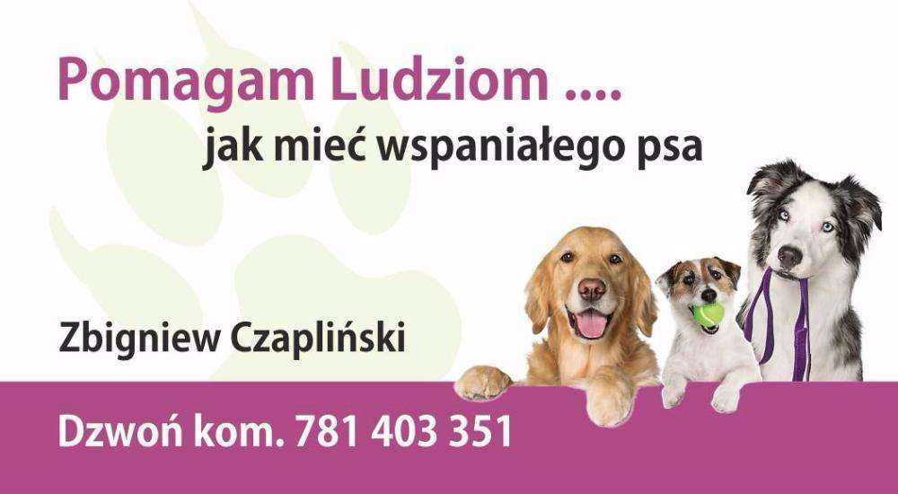 Pomagam Psom i Ludziom jak żyć razem, behawiorysta,