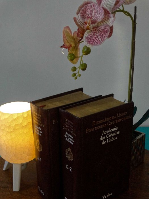 Dicionário da Lingua Portuguesa contemporânea