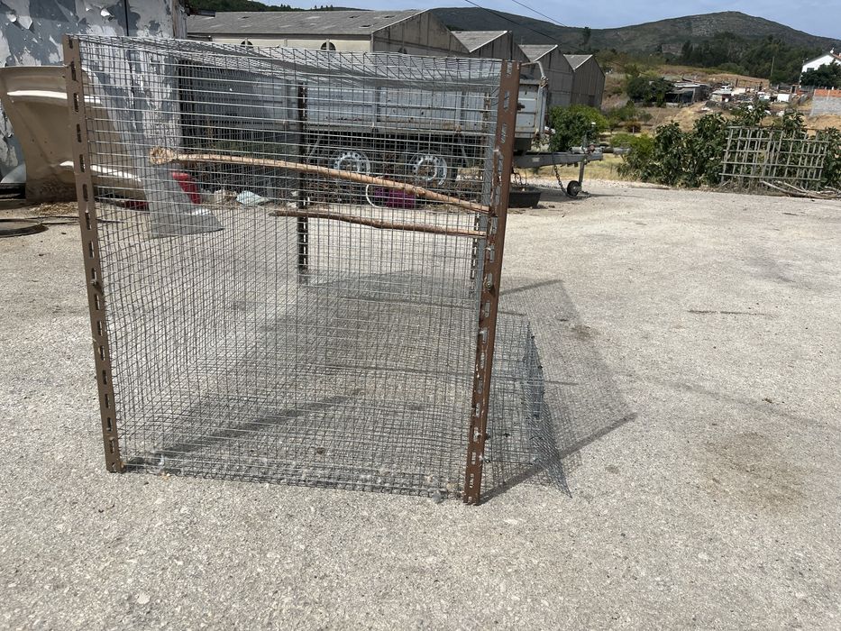 4 viveiros para troca por aves