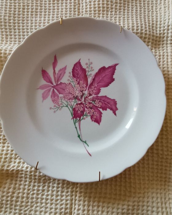 Prato - Vista Alegre