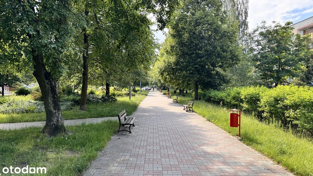 2-pokojowe mieszkanie 51 m² | 4 piętro | Północ | do własnej aranżacji - Widok 2