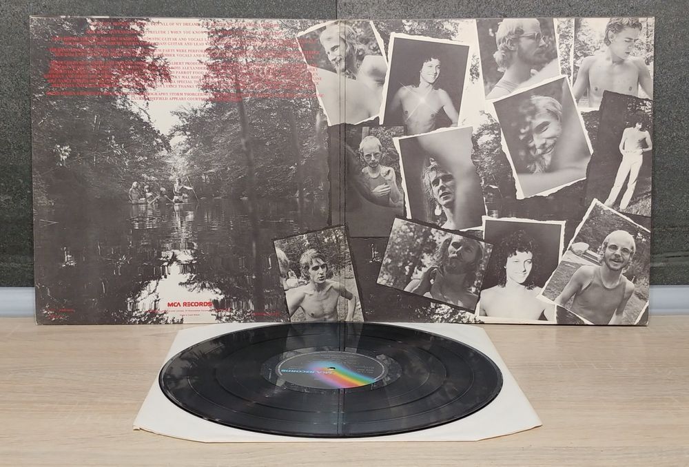 Wishbone Ash - New England. 1976r. U.K. 1 Press. Płyta winylowa.