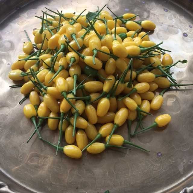 Pimenta Cumarí Amarela.