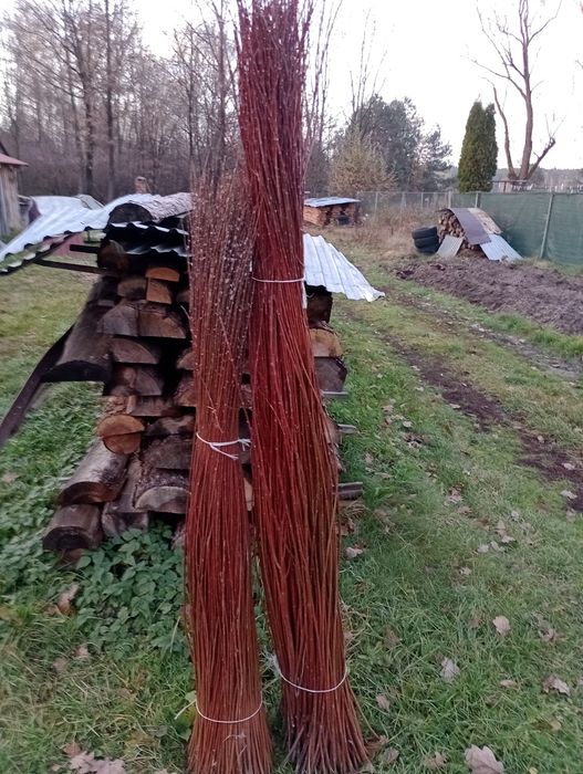 Wiklina sucha sortowana