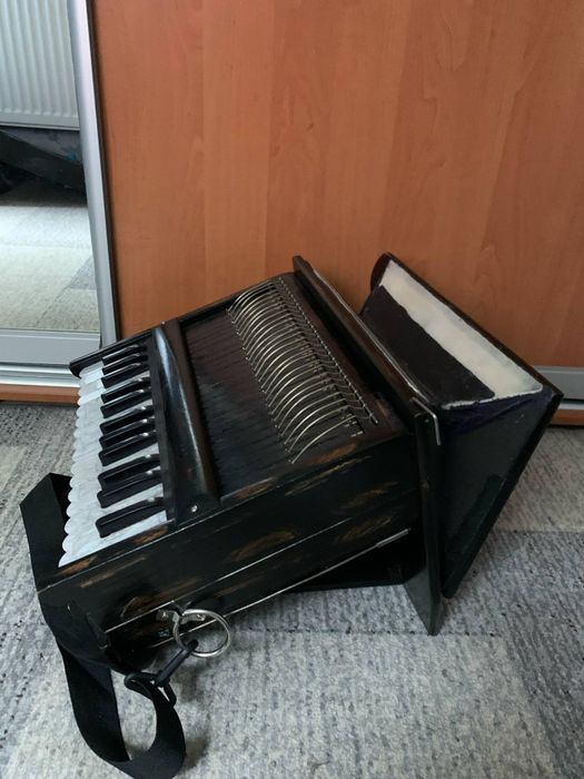 Фізгармонь Харінама/шруті бокс/ мантри