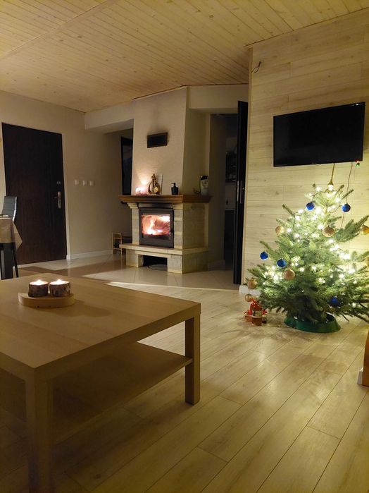 Domek na Kaszubach z ,sauną, banią ruską i basenem.