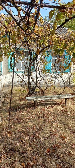 Продам будинок у Чорнявці.