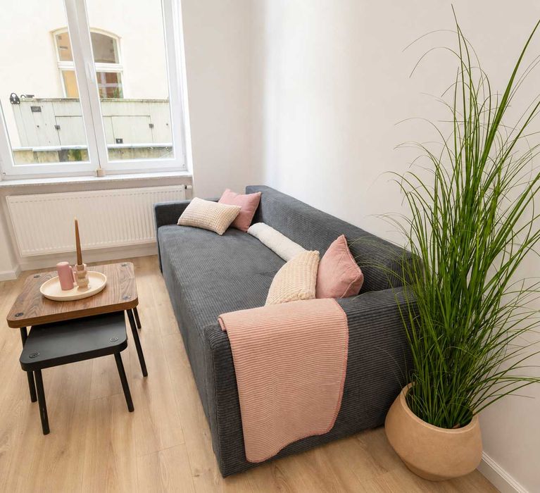Apartament z garderobą | Park Wilsona | ul. Matejki | Dla studentów | Dostępne od zaraz | Bez pośredników | - Widok 2