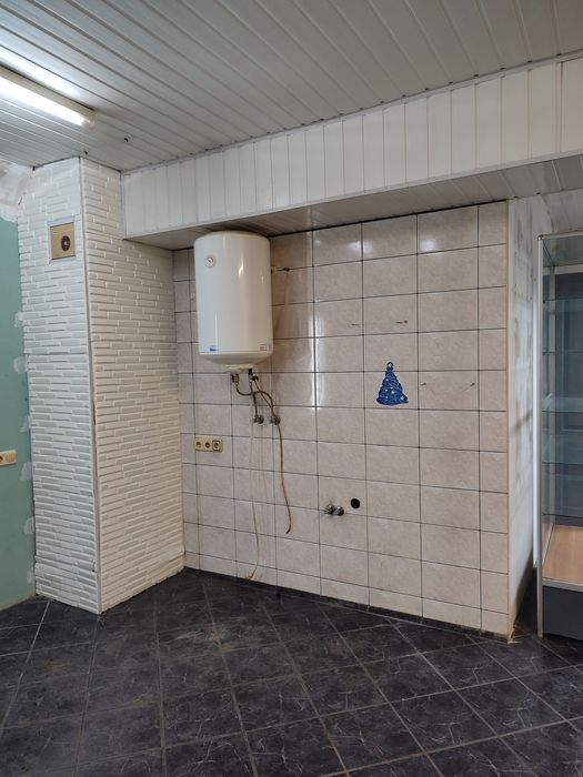 75м2, окремий вхід з вулиці, вул. Васильківська 42, Голосіївський р.