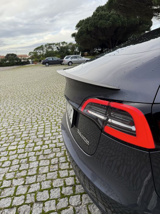 Tesla Model 3 Performance Dual Motor FSD ATIVO INCLUIDO | AUTO PARK |