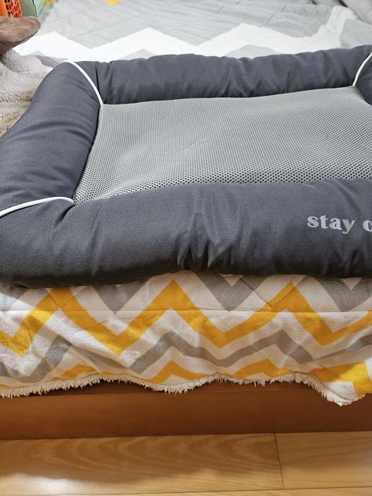 Cama grande para cão