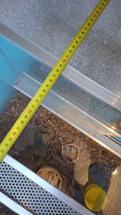 Terrarium dla żółwia
