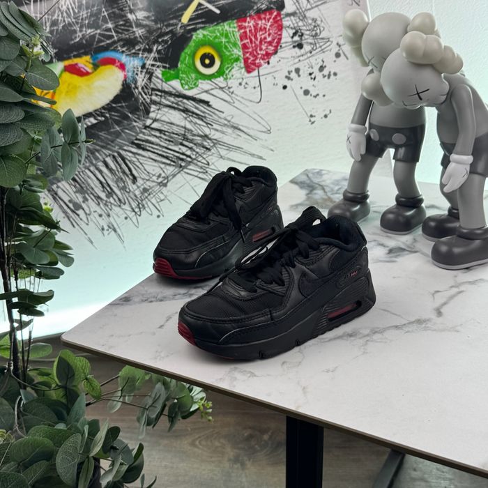 Дитячі кросівки Nike Air Max 90 30 розмір E755