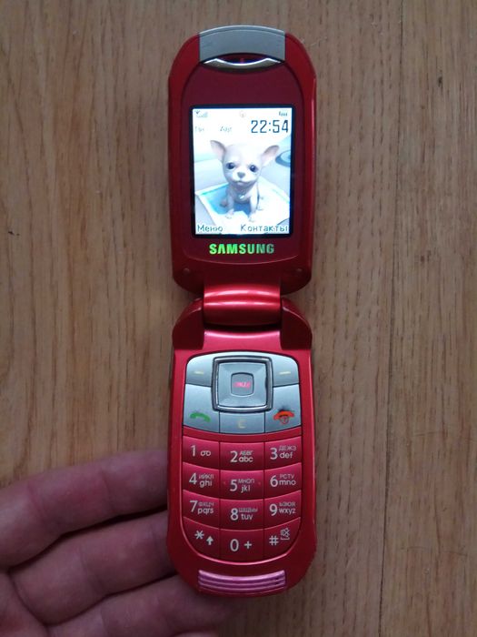 Стильний телефон Samsung SGH-E570 «жабка»